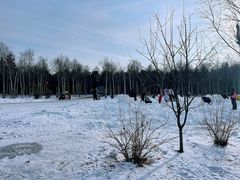 -长春市南湖公园