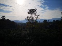 -塔川景区