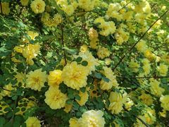 -长春公园(普阳街道)