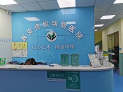 -佳怡动物医院·平价24小时·猫专科骨外科