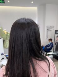 -YESIDO椰岛造型