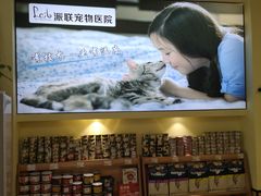 -派联宠物医院·24h·CT·异宠