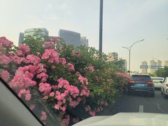 -钱江新城灯光秀