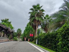 -枫香湖儿童公园