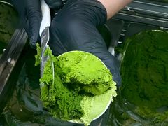 -鹤茶野所(上海首店)