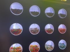-一绪に和牛寿喜烧(罗湖益田假日店)