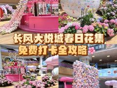 -上海长风大悦城