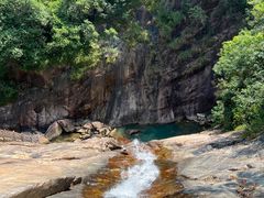 -广州白江湖森林公园