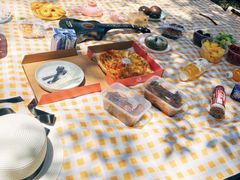 -长白岛森林公园