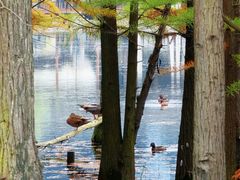 -白鹭湾湿地公园