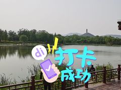 -北坞公园