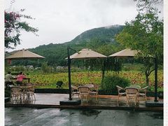 -比顿咖啡(和顺古镇店)