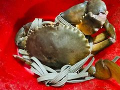 -老财炒饭·熟地蟹·冬瓜蟹