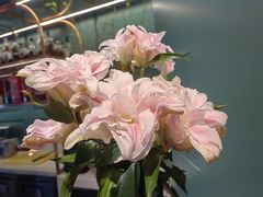 -南堂馆·新川菜(春熙路店)