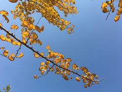 -大蜀山国家森林公园