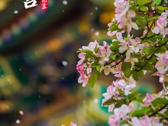 -故宫博物院(故宫)