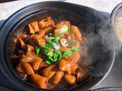 红烧大肠煲-阿龙酒煲(海宁新苑路店)