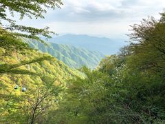 -王顺山国家森林公园