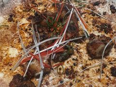 -铜锣湾·有麝自然香(渝北财富中心店)