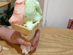 -柠檬车露(卖草地店)