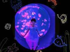 -多彩贵州城极地海洋世界