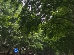 -浙江大学(玉泉校区)