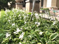 -秦皇岛阿尔卡迪亚滨海度假酒店