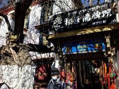 -古树酸奶(八廓南街店)