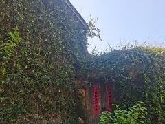 -杨家堂村