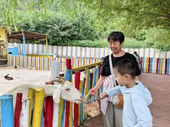 -西部长青自然儿童乐园