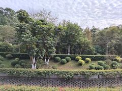 -广东金融学院(校本部)