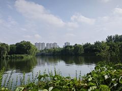 -西安汉城湖景区