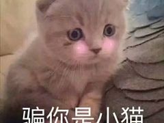 -蜜蜂小象·榴莲千层蛋糕(时代汇11栋店)