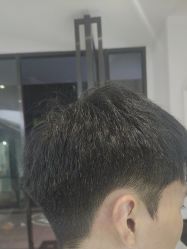 -天使之手