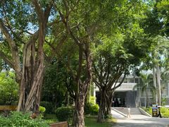 -深圳国际园林花卉博览园