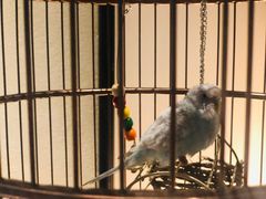 -小厨娘淮扬菜(六合欢乐港店)