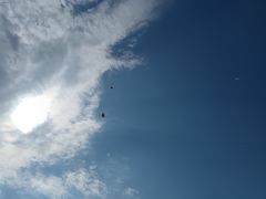 -丁香湖公园