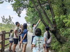-少华山国家森林公园