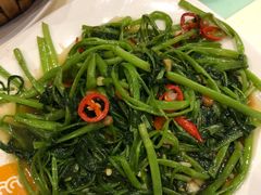 -龙记香港茶餐厅(久光百货店)