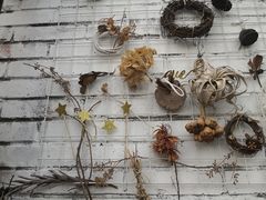 -北马山庄植趣咖啡
