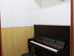 -柏斯琴行(汾阳店)