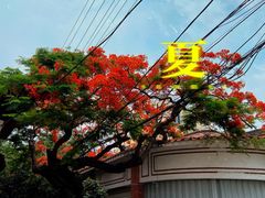 -一杯潮茶(西街店)