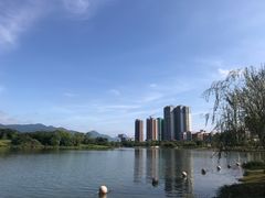 -飞来湖湿地公园