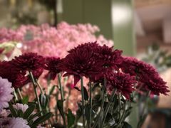 -春暖花开(西溪店)