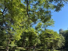 -长白岛森林公园