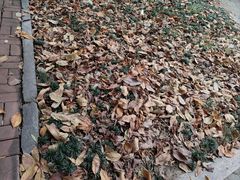 -广东金融学院(校本部)