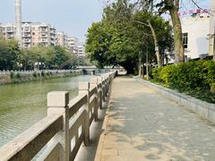 -光明港公园