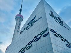 -上海海洋水族馆