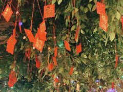 -顶顶汤火牛排火锅·经典铜锅涮肉