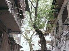 -重庆平顶山公园
